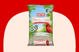Kaytee 10-Pound Wild Bird Food, as Low as $10 on Amazon (Reg. $20) card image